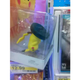 Illustration for article titled Adventures in Tragic Amiibo Packaging